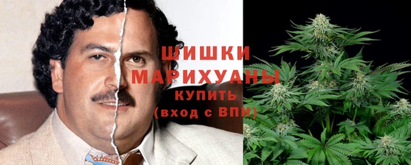 сатива Усинск