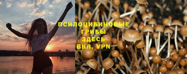 МДМА Туринск
