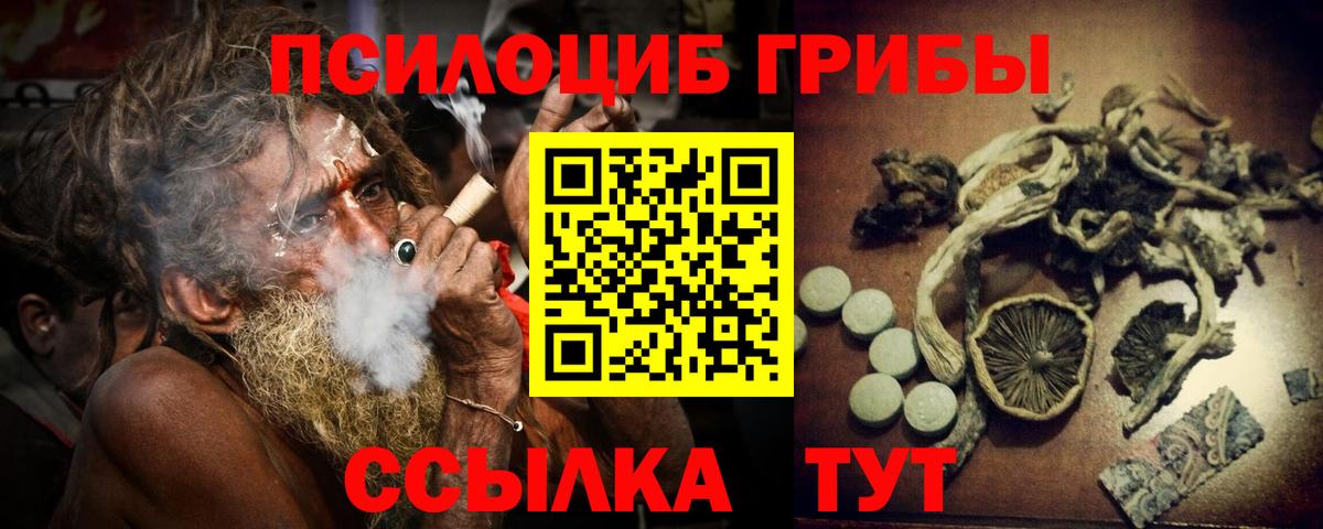 Коломна  Псилоцибиновые грибы Psilocybe  Псилоцибиновые грибы мицелий  Вход с VPN 