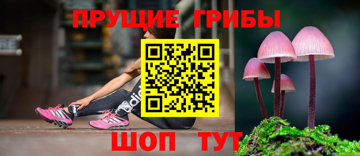 Галлюциногенные грибы Cubensis  Коломна  Галлюциногенные грибы ЛСД 